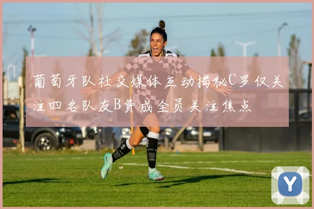 葡萄牙队社交媒体互动揭秘C罗仅关注四名队友B费成全员关注焦点