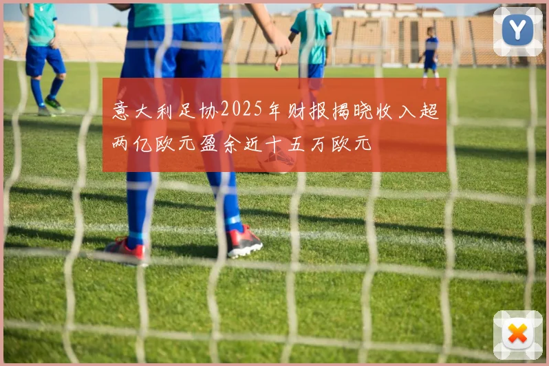 意大利足协2025年财报揭晓收入超两亿欧元盈余近十五万欧元